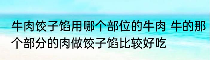 牛肉饺子馅用哪个部位的牛肉 牛的那个部分的肉做饺子馅比较好吃