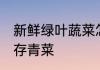新鲜绿叶蔬菜怎么保存得更久 如何保存青菜