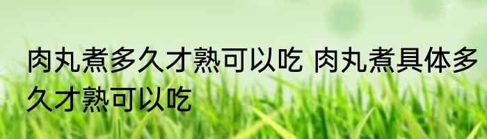肉丸煮多久才熟可以吃 肉丸煮具体多久才熟可以吃