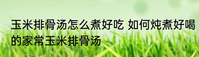 玉米排骨汤怎么煮好吃 如何炖煮好喝的家常玉米排骨汤