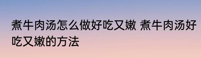 煮牛肉汤怎么做好吃又嫩 煮牛肉汤好吃又嫩的方法