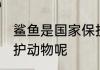 鲨鱼是国家保护动物吗 鲨鱼是不是保护动物呢
