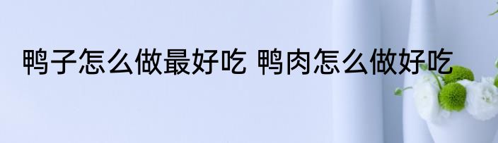 鸭子怎么做最好吃 鸭肉怎么做好吃
