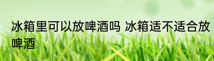 冰箱里可以放啤酒吗 冰箱适不适合放啤酒