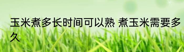 玉米煮多长时间可以熟 煮玉米需要多久
