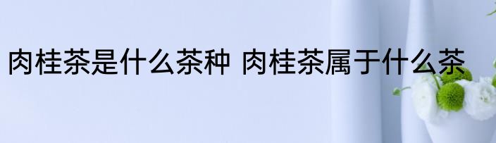 肉桂茶是什么茶种 肉桂茶属于什么茶