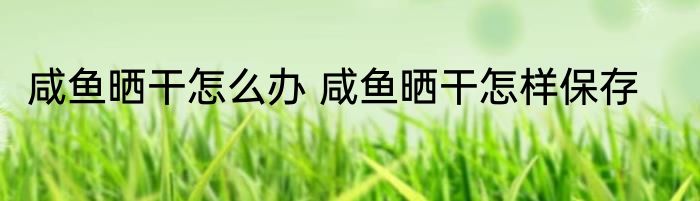 咸鱼晒干怎么办 咸鱼晒干怎样保存