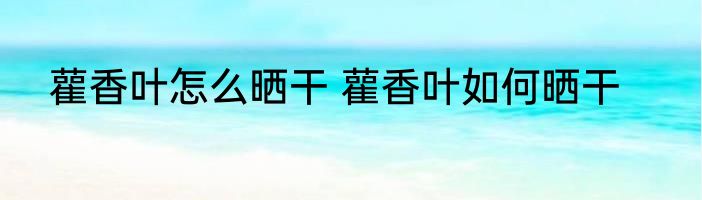 雚香叶怎么晒干 雚香叶如何晒干