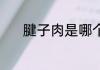 腱子肉是哪个部位 腱子肉介绍