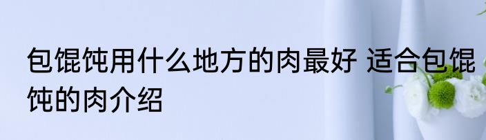 包馄饨用什么地方的肉最好 适合包馄饨的肉介绍