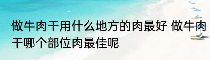 做牛肉干用什么地方的肉最好 做牛肉干哪个部位肉最佳呢