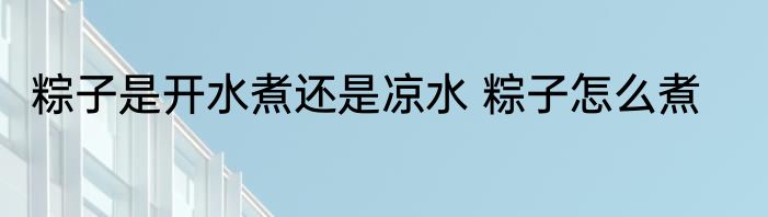 粽子是开水煮还是凉水 粽子怎么煮