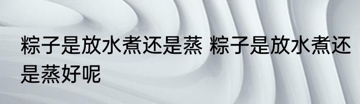 粽子是放水煮还是蒸 粽子是放水煮还是蒸好呢