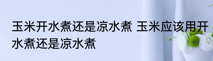 玉米开水煮还是凉水煮 玉米应该用开水煮还是凉水煮