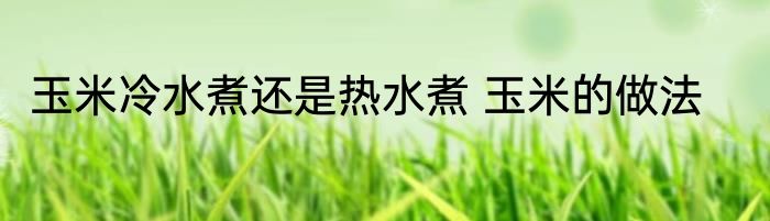 玉米冷水煮还是热水煮 玉米的做法