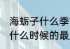 海蛎子什么季节的最肥最好吃 海蛎子什么时候的最肥最好吃