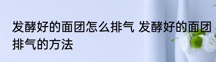 发酵好的面团怎么排气 发酵好的面团排气的方法