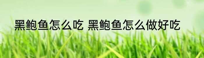 黑鲍鱼怎么吃 黑鲍鱼怎么做好吃