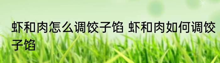 虾和肉怎么调饺子馅 虾和肉如何调饺子馅