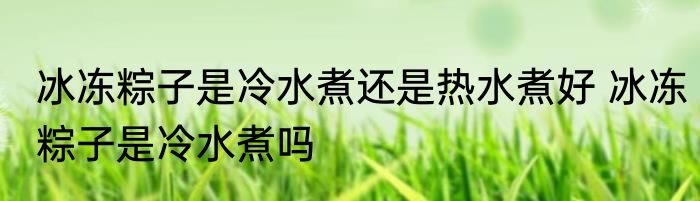 冰冻粽子是冷水煮还是热水煮好 冰冻粽子是冷水煮吗