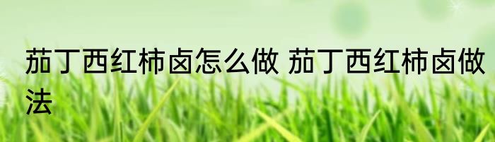 茄丁西红柿卤怎么做 茄丁西红柿卤做法