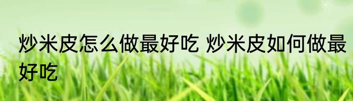 炒米皮怎么做最好吃 炒米皮如何做最好吃