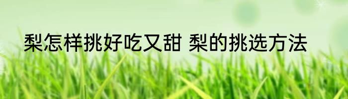 梨怎样挑好吃又甜 梨的挑选方法