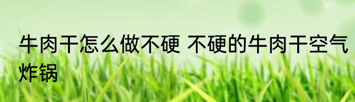 牛肉干怎么做不硬 不硬的牛肉干空气炸锅