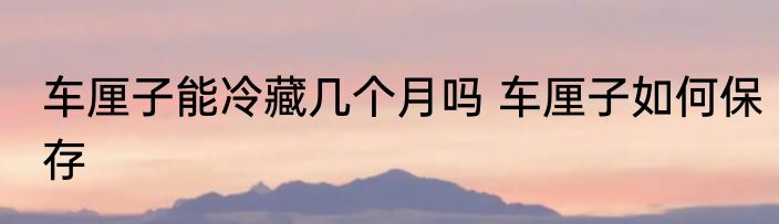 车厘子能冷藏几个月吗 车厘子如何保存