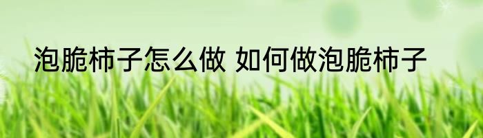 泡脆柿子怎么做 如何做泡脆柿子