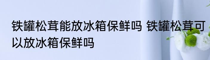 铁罐松茸能放冰箱保鲜吗 铁罐松茸可以放冰箱保鲜吗