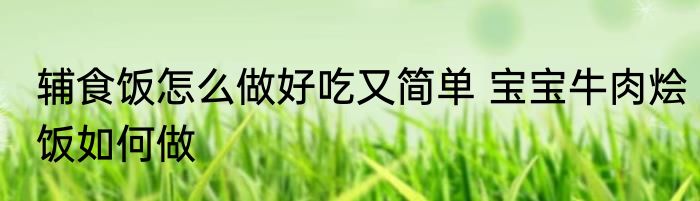 辅食饭怎么做好吃又简单 宝宝牛肉烩饭如何做