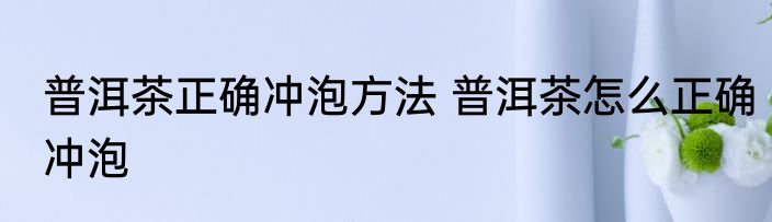 普洱茶正确冲泡方法 普洱茶怎么正确冲泡