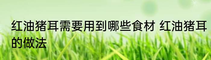 红油猪耳需要用到哪些食材 红油猪耳的做法