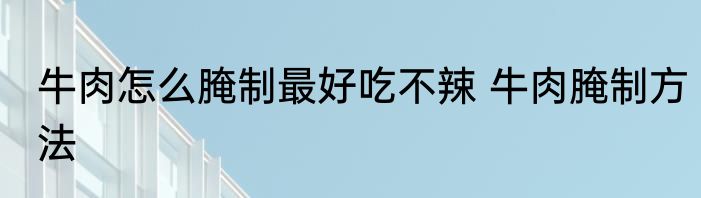 牛肉怎么腌制最好吃不辣 牛肉腌制方法