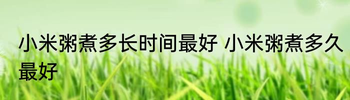 小米粥煮多长时间最好 小米粥煮多久最好