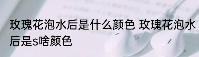 玫瑰花泡水后是什么颜色 玫瑰花泡水后是s啥颜色