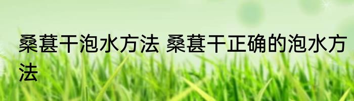 桑葚干泡水方法 桑葚干正确的泡水方法