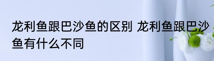 龙利鱼跟巴沙鱼的区别 龙利鱼跟巴沙鱼有什么不同