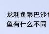 龙利鱼跟巴沙鱼的区别 龙利鱼跟巴沙鱼有什么不同