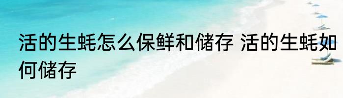 活的生蚝怎么保鲜和储存 活的生蚝如何储存
