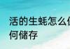 活的生蚝怎么保鲜和储存 活的生蚝如何储存