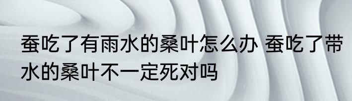 蚕吃了有雨水的桑叶怎么办 蚕吃了带水的桑叶不一定死对吗