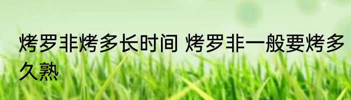 烤罗非烤多长时间 烤罗非一般要烤多久熟