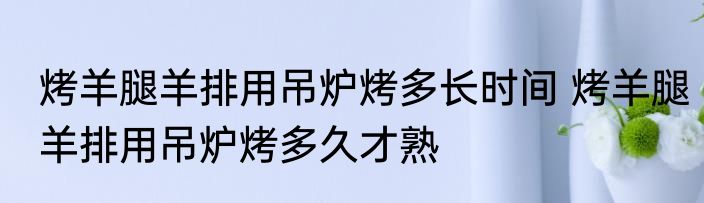 烤羊腿羊排用吊炉烤多长时间 烤羊腿羊排用吊炉烤多久才熟