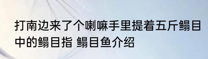 打南边来了个喇嘛手里提着五斤鳎目中的鳎目指 鳎目鱼介绍