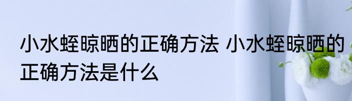 小水蛭晾晒的正确方法 小水蛭晾晒的正确方法是什么