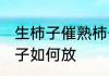 生柿子催熟柿子怎么放 生柿子催熟柿子如何放