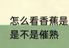 怎么看香蕉是不是催熟 如何分辨香蕉是不是催熟
