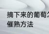 摘下来的葡萄怎么催熟 摘下来的葡萄催熟方法